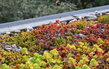the cost of Walkington green roof installation