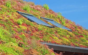 Walkington living roof systems